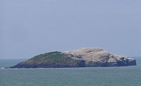 Vue de Grassholm. Sur la droite de l'île, se trouvent les fous de Bassan.