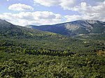 Paraje Pintoresco del Pinar de Abantos y Zona de La Herrería