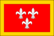 Vlag