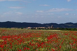 Muruzabal (Navarra)