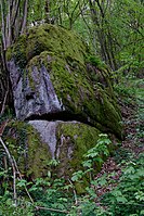 Granitfelsen bei der Huy'schen Mühle