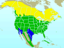 Description de l'image Northern Flicker-rangemap.gif.