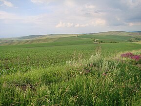 Lângă drumul Turda-Ploscoș (județul Cluj)