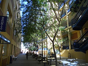 Shaded courtyard