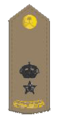 lieutenant-colonel (arabe : مقدم)