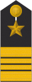 Schulterklappe Dienstanzug Marineuniformträger (militärfachlicher Dienst)