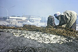 Senegal Mbour sechage poisson