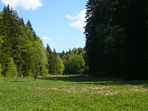 Das Paradiestal im Mai 2008