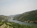 Thung lũng Douro nơi trồng nho để sản xuất vang Porto