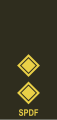 Lieutenant (Seychelles Infantry Unit)[68]