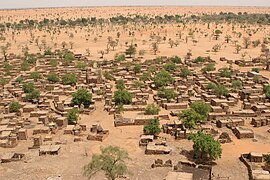 Environmental migration. Sparser rainfall leads to desertification that harms agriculture and can displace populations. Shown: Telly, Mali (2008).[275]