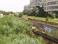 Stepna River in Dzhankoy