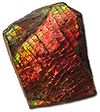 Ammolite.jpg