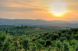 Countryside in Reggello