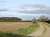 Breckland Farmland