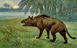 Hyaenodon gigas