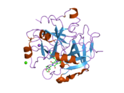 1vzq: COMPLEX OF THROMBIN WITH DESIGNED INHIBITOR 7165