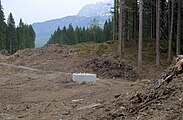 Bauschneise im Gerschniwald für die neue Gondelbahn, 2015