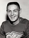 Vignette pour Terry Sawchuk