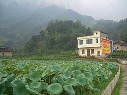 九宮山鎮畈中村のハス池