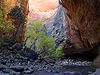 Zion Narrows