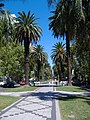 Vue du boulevard Oroño.