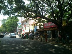 Diwan Bahadur Road