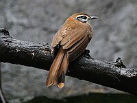 At San Diego Zoo