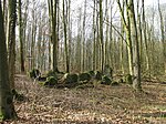 Menhir von Gudensberg