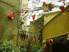 Torà in Christmas