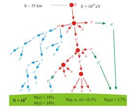 El árbol ramificado que representa la producción de partículas