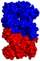 Luciferasa bacterial