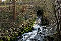 Geklärtes Wasser fließt in den Beeckbach