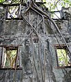 Intérieur du dortoir du lazaret no 2 dans son écrin végétal.