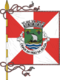 Flagge des Concelhos Peso da Régua