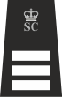 Special Chief Inspector Rank Insignia with SC & Crowns