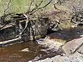 Vignette pour Rivière à la Fourche (rivière Champlain)