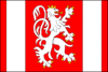 Flag of Dašice