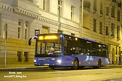 972-es busz a Móricz Zsigmond körtéren