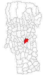 Location in Argeș County