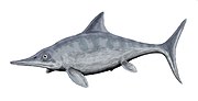 Miniatura para Ophthalmosaurus