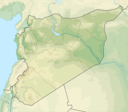 Palmyra is located in the center of Syria