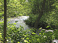 The Whippany River, as seen from the grounds of the Frelinghuysen Arboretum