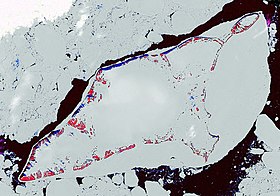 Photo satellitaire de l'île Bennett