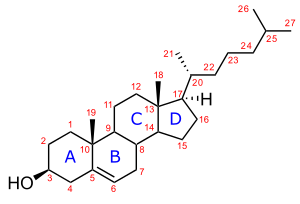 Struktur kimia kolesterol