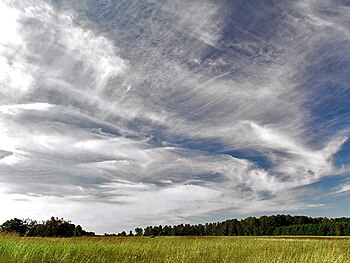 A picture of a bright blue sky with many different types of white cirrus clouds. The clouds are over a grassy field with a line of trees in the distance.