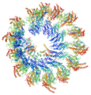 Gamma-tubulin ring complex