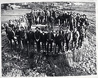 Fifty men stand on the massive stump of the Mark Twain Tree. C.C. Curtis. USA, 1891.[1]: 21  National Park Service Gallery.