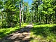 Nathan Hale State Forest road