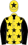 Yellow, black stars, sleeves and star on cap